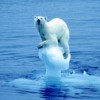 Le Pôle Emploi, ça vous glace !