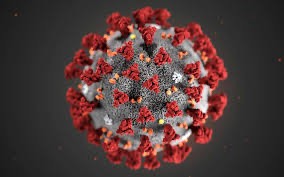 Origine du virus : Première victoire des complotistes ?